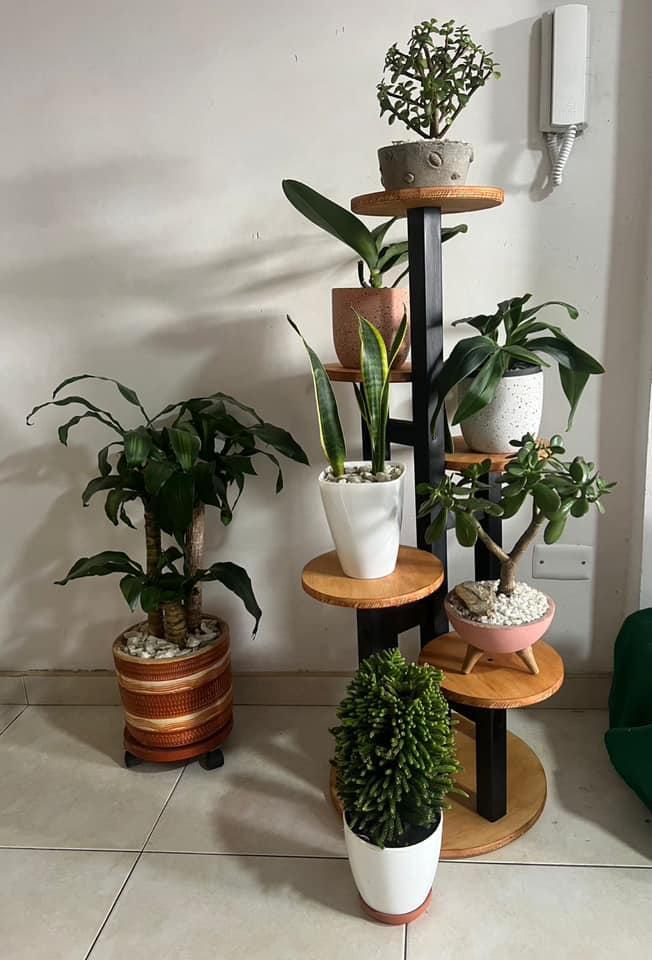 Soporte 6 Niveles Alto