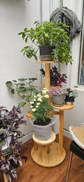 Soporte 6 Niveles Alto