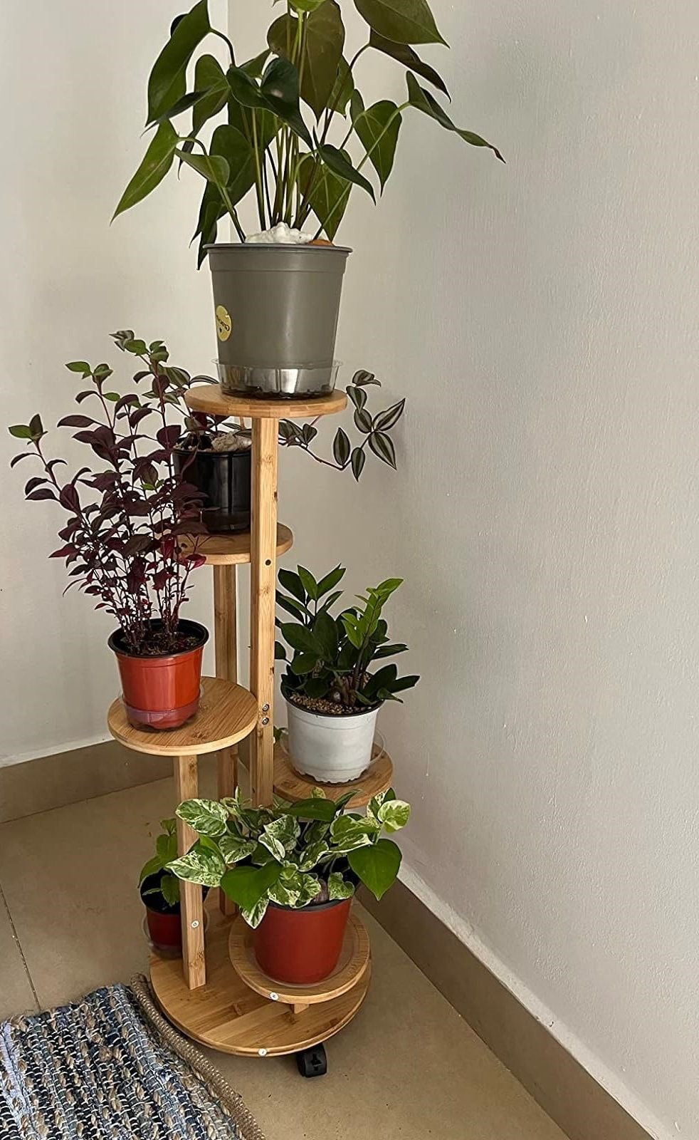 Soporte De 6 Niveles Para Materos